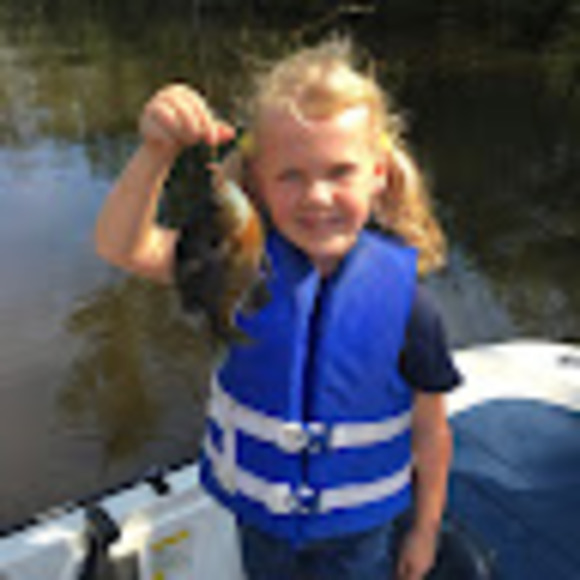 Meet your Posher, Piper - Picture 1 of 1